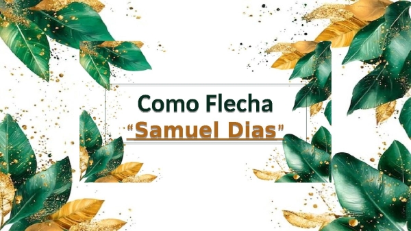 Como Flecha-Samuel Dias