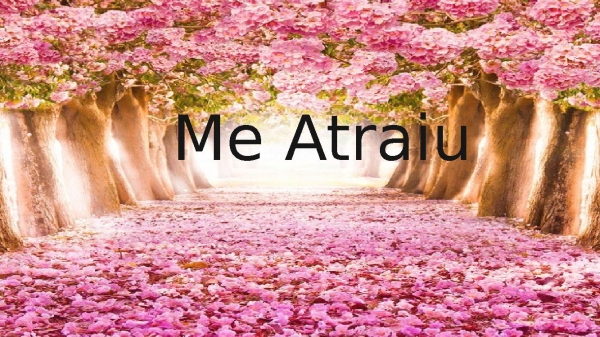 Me Atraiu