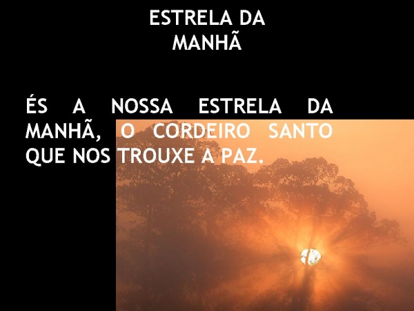 Estrela da manhã