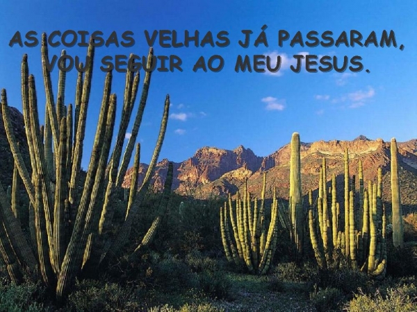 EIS-ME AQUI - página 12