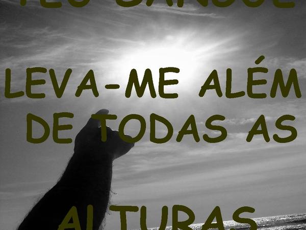 SOU LIVRE (NADA ALÉM DO SANGUE)