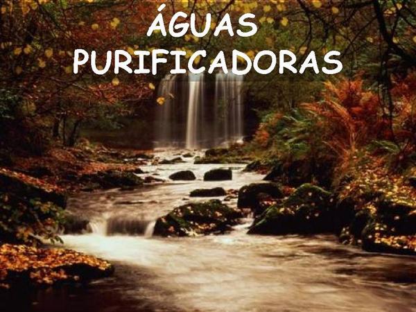 Águas Purificadoras - página 1