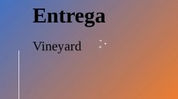 Entrega - Vineyard