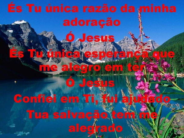 És Tu unica razão