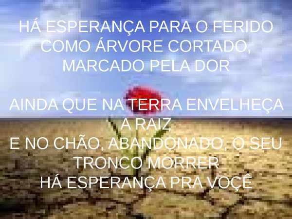 Ao cheiro das Águas - página 2