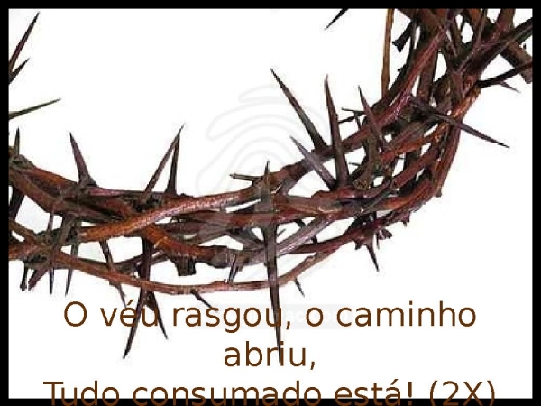 DIANTE DA CRUZ - página 14
