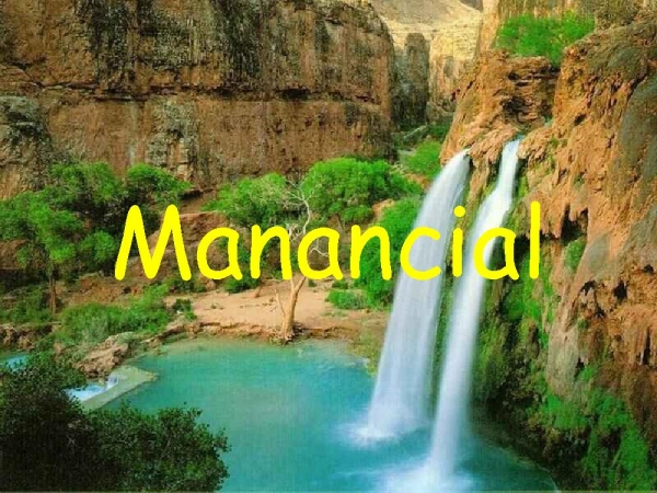 MANANCIAL