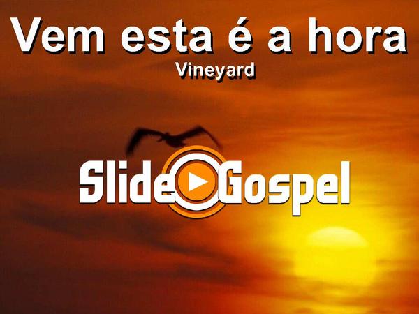 Vem, Está é a Hora - Vineyard
