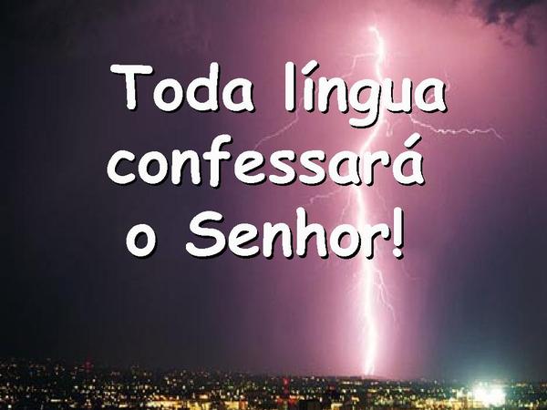 Vem, Está é a Hora - Vineyard - página 11
