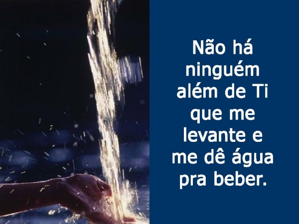 Como uma flor na chuva
