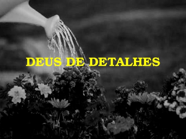 DEUS DE DETALHES