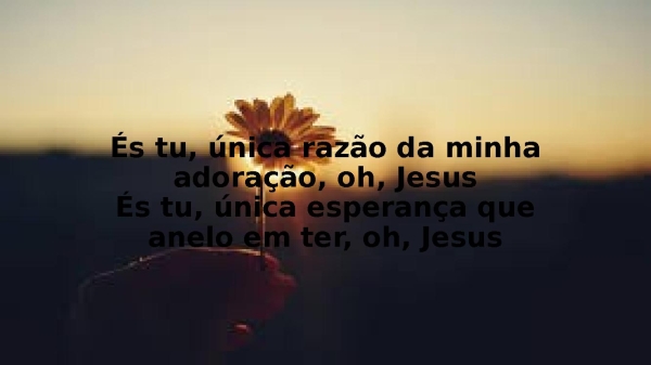 Eu te louvarei - página 5