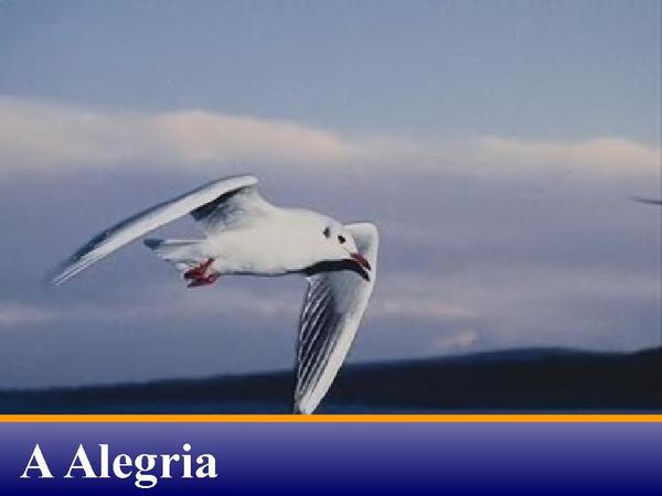 A ALEGRIA.ppt