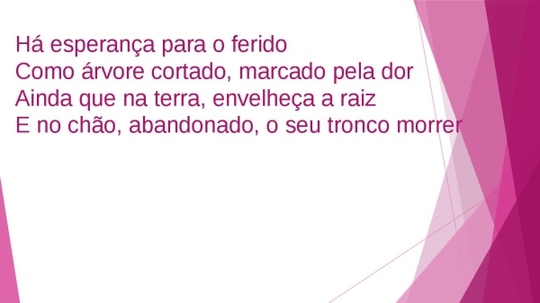 AO CHEIRO DAS AGUAS - página 2