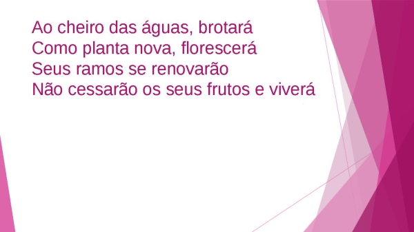 AO CHEIRO DAS AGUAS - página 4