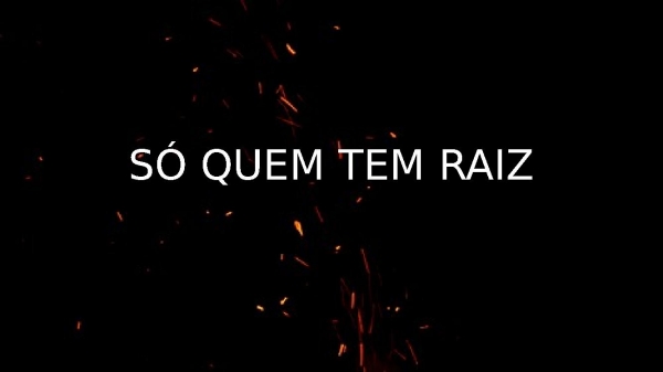 SO QUEM TEM RAIZ.pptx