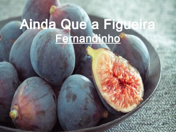 Ainda Que a Figueira - Fernandinho 