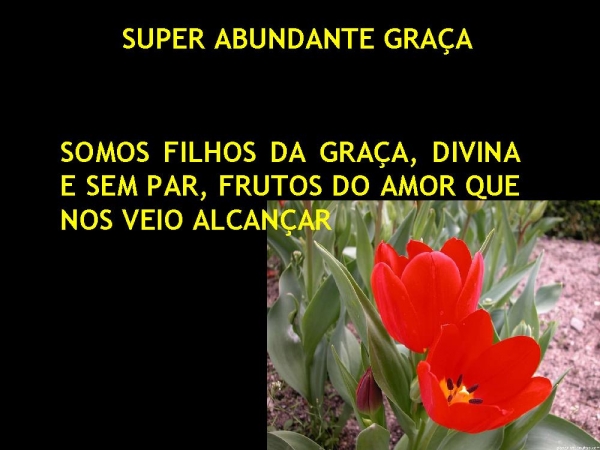 SUPER ABUNDANTE GRAÇA