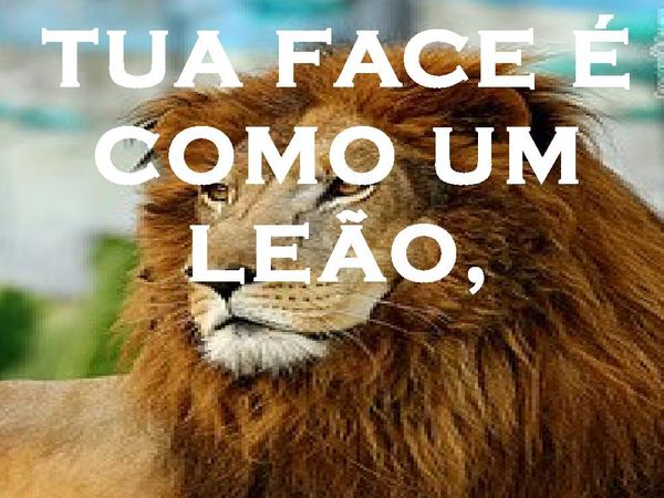 TUA FACE É COMO UM LEÃO