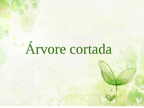 Árvore cortada