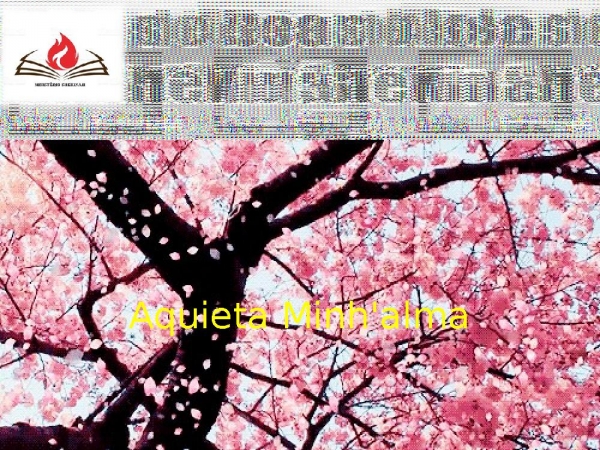 ÀQUIETA MINH'ALMA.pptx