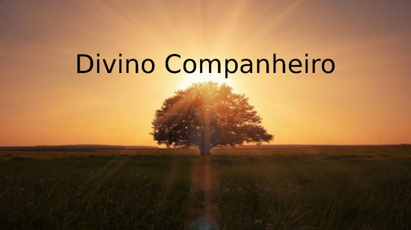 Divino Companheiro.pptx