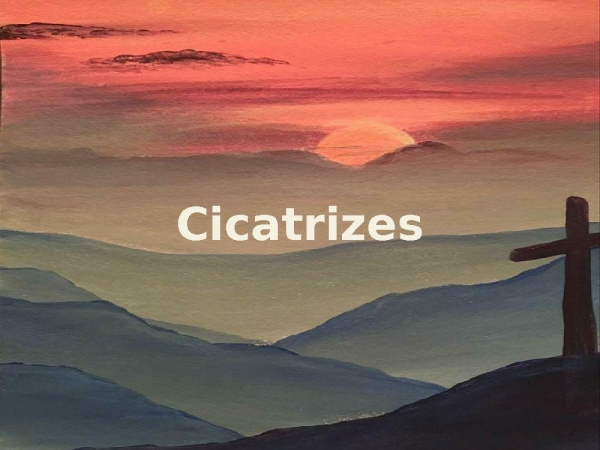 Cicatrizes