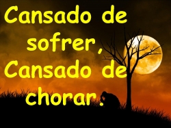 A Alegria Virá