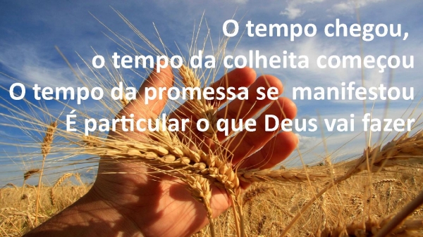 Tempo da Colheita.pptx