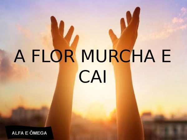 Coração de Pedra