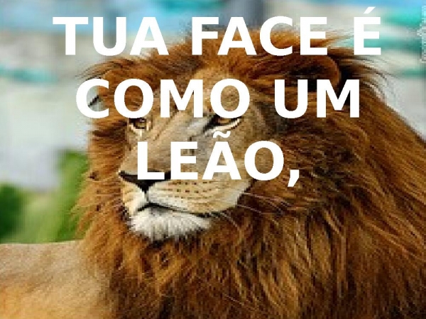 TUA FACE É COMO UM LEÃO