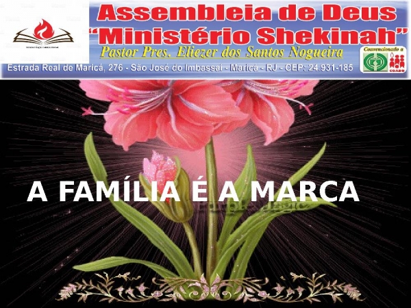 A FAMÍLIA E A MARCA.pptx