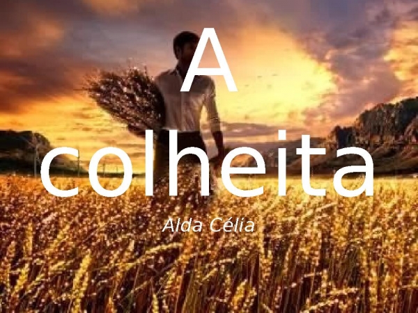 A colheita.pptx
