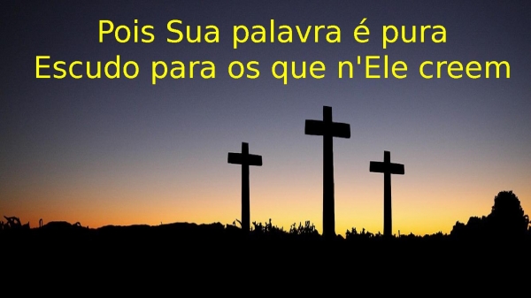 O ESCUDO - página 17